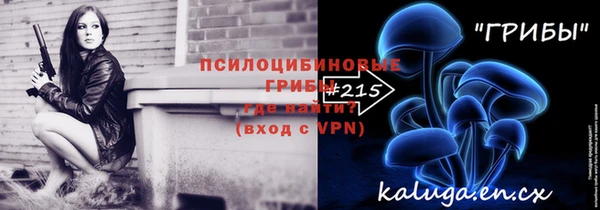 крисы Абдулино