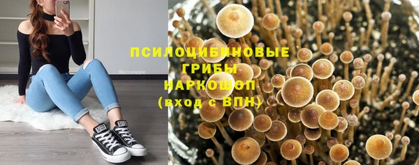первитин Абинск