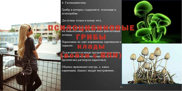 первитин Абинск