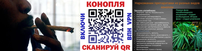 Каннабис сатива  Нестеровская 